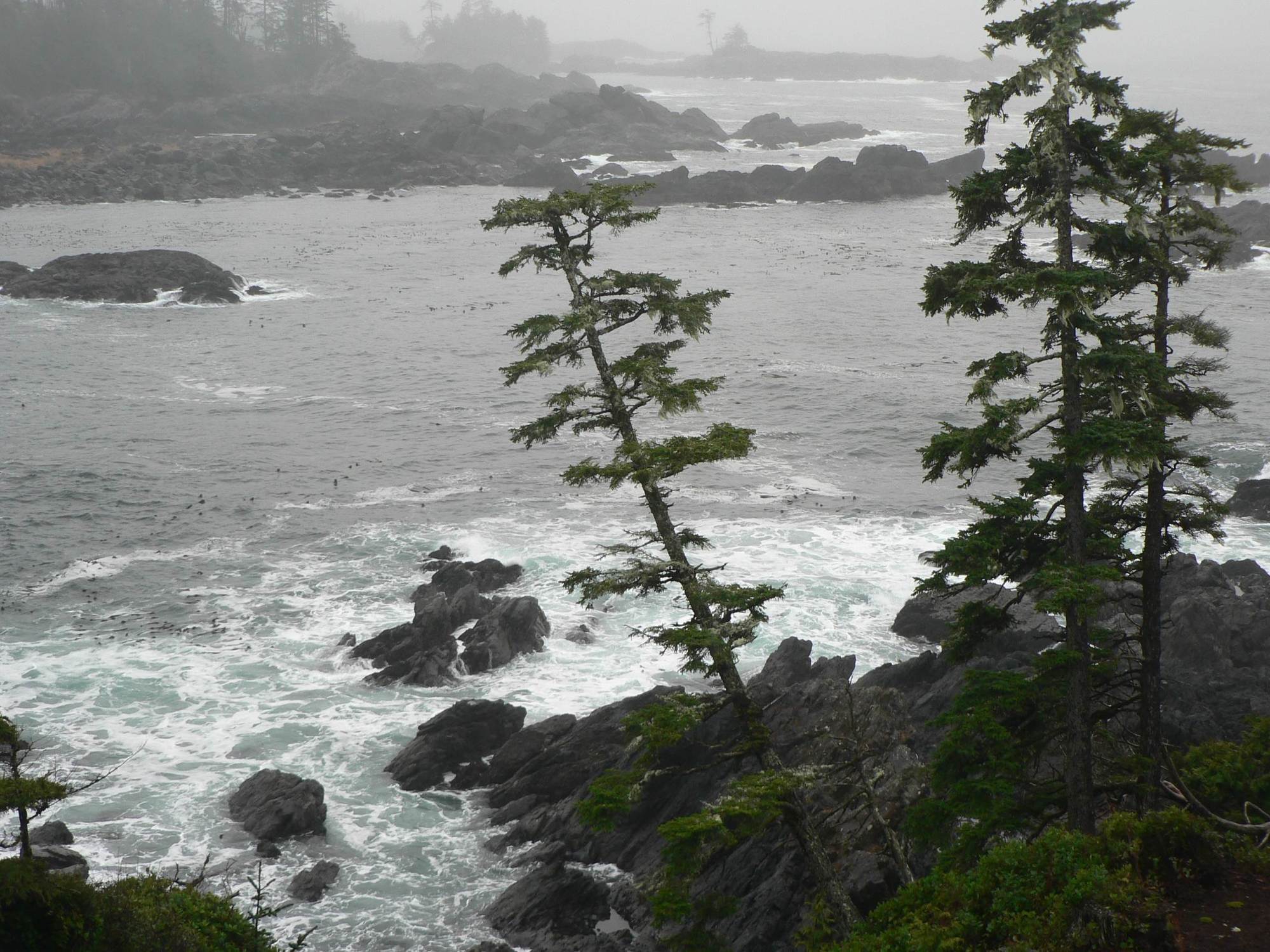 Black Rock Oceanfront Resort Ucluelet Zewnętrze zdjęcie